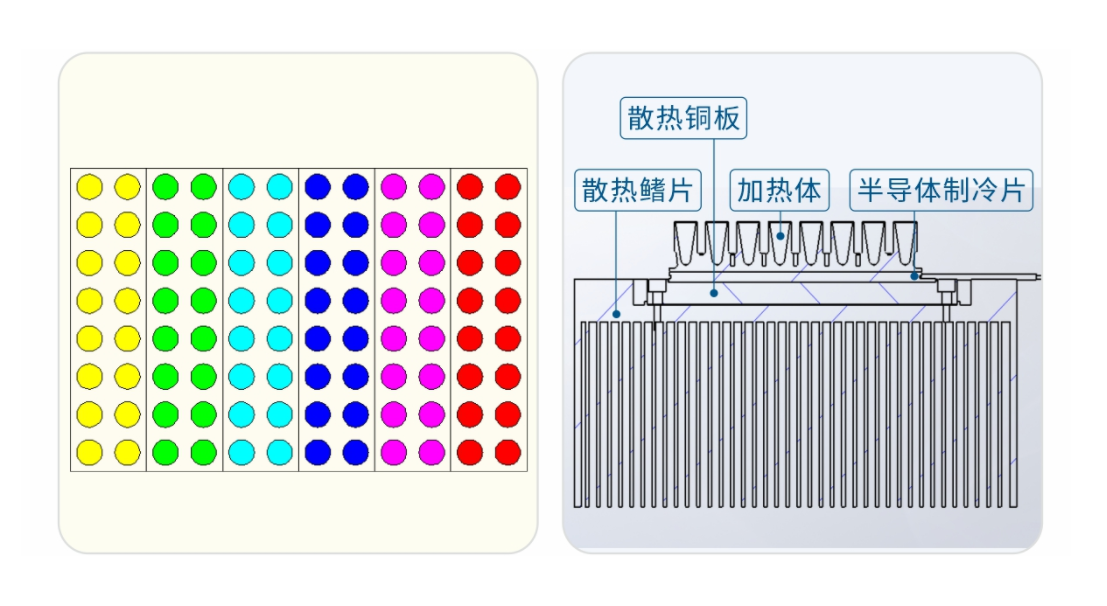 实时荧光定量PCR仪